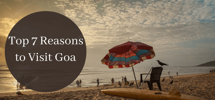 Top 7 Reasons to Visit Goa