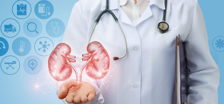 What To Look For In A Nephrologist?