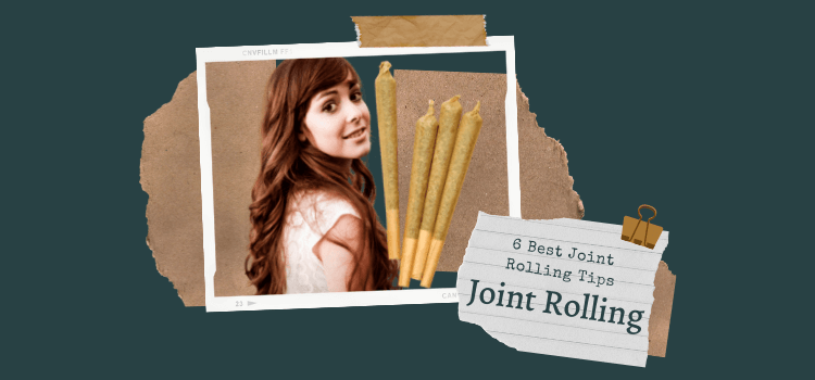 6 Best Joint Rolling Tips