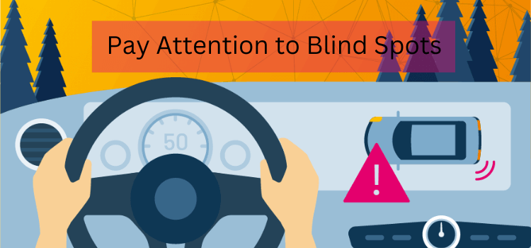Pay Attention to Blind Spots