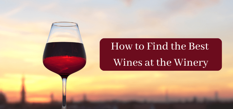 Find the Best Wines at the Winery