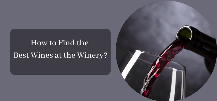 how to find best wine at winery