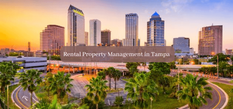 Rental Property Management in Tampa