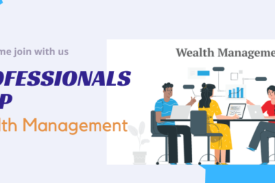 How Professionals Can Assist You in Wealth Management