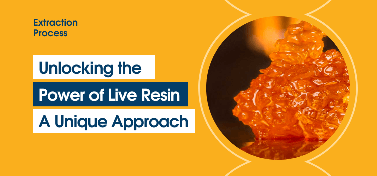 power of live resin