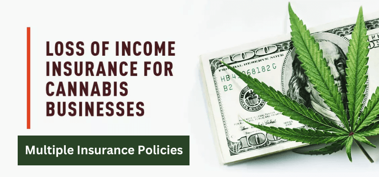 cannabis insurance