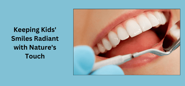 The Role of Minerals in Dental Health