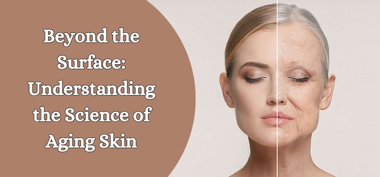 Beyond the Surface: Understanding the Science of Aging Skin